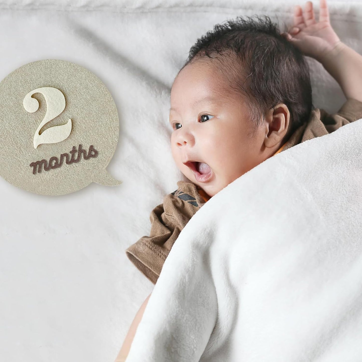 Felt Speech Bubble Baby Monthly Milestone Signs, First Year Baby Photo Prop | Birth Announcement, Growth Tracking, Gender Neutral Baby Shower, Newborn Gift (Neutral)