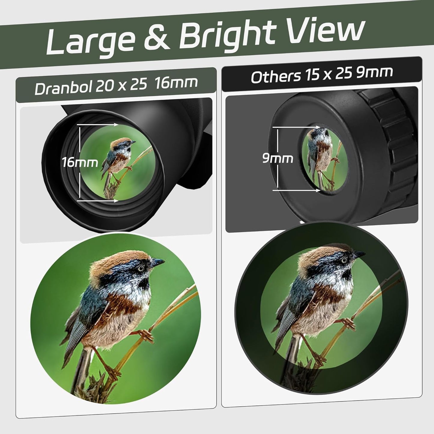 20X25 Small Binoculars for Adults and Kids, Large Eyepiece Binoculars for Bird Watching Easy Focus, Pocket High Powered Opera Glasses for Concert, Cruise Ship, Travel Must Have