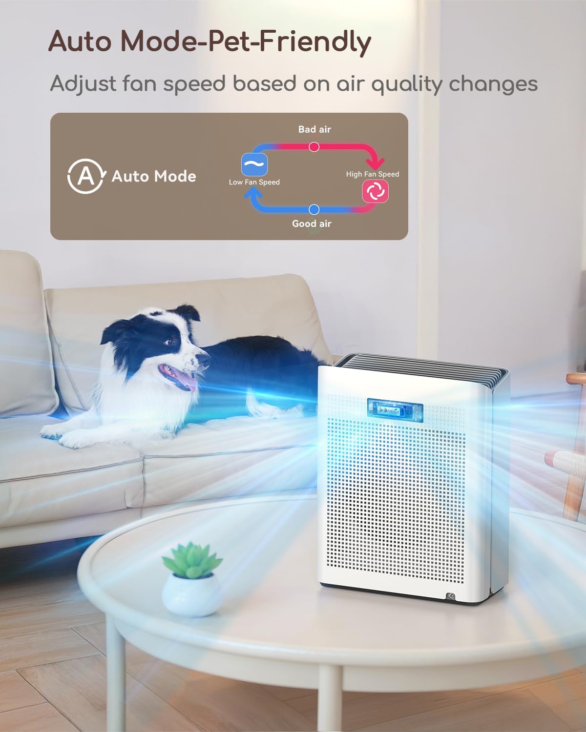 Afloia Air Purifier for Home Large Room Bedroom Up to 2000Ft² with PM2.5 Air Quality Monitor Smart Auto Mode, Washable Pre Filter Cleaner for Pet, Europa 2.0