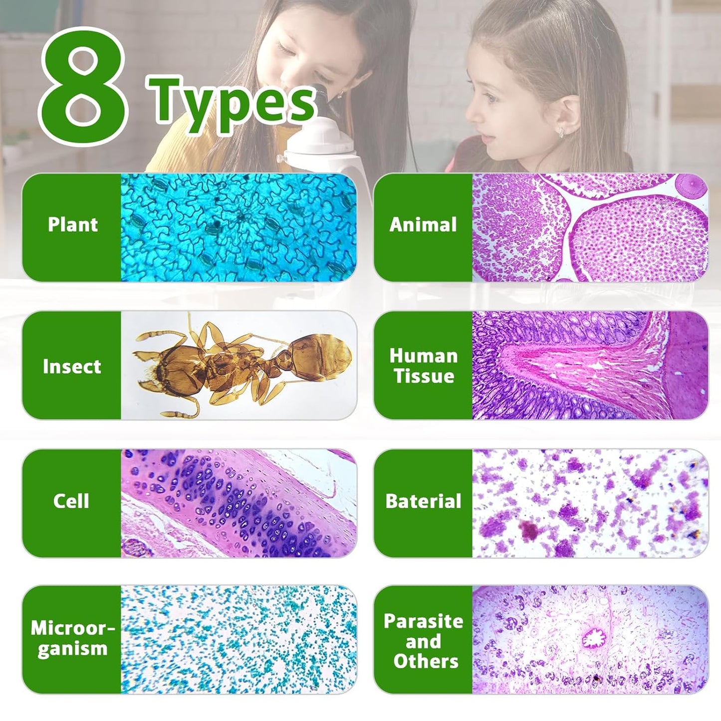 60 Microscope Slides with Specimens,Prepared Microscope Slides for Kids,Glass Slides for Microscope,Prepared Slides for Kids Microscope,Microscope Slide Preparation Kit for Biology Science Classes