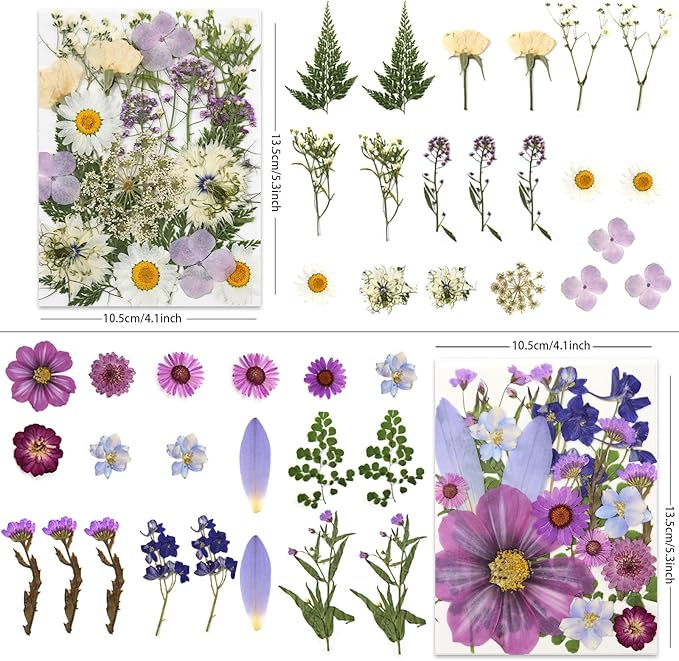 80 Pcs Dried Pressed Flowers for Crafts, Natural with Vibrant Colors & Various Shapes, Exquisite Arrangement for Resin, DIY, Jewelry, Candle & Soap Making – Tweezers Included