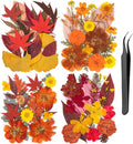 78 Pcs Fall Dried Pressed Flowers with Tweezer, Fall Themed Real Dried Flowers Leaves for DIY Crafts Resin Molds, Yellow Orange Dried Flowers for Autumn Halloween Thanksgiving Decorations