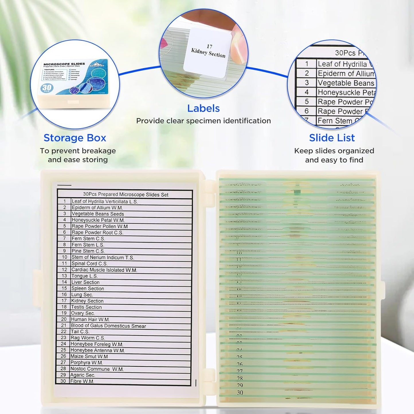 30 Microscope Slides with Specimens, Prepared Microscope Slides Set with Plants Animals Insects for Adults Students Homeschool Basic Biological Science Education