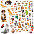 Pet Animals Stickers 660 Count Dog Cat Animal Pet Rabbit Parrot Fish Bird Reptiles Stickers Party Favors Gifts Sticky Decor for Scrapbook Calendar Planner Gift Wrap Decor