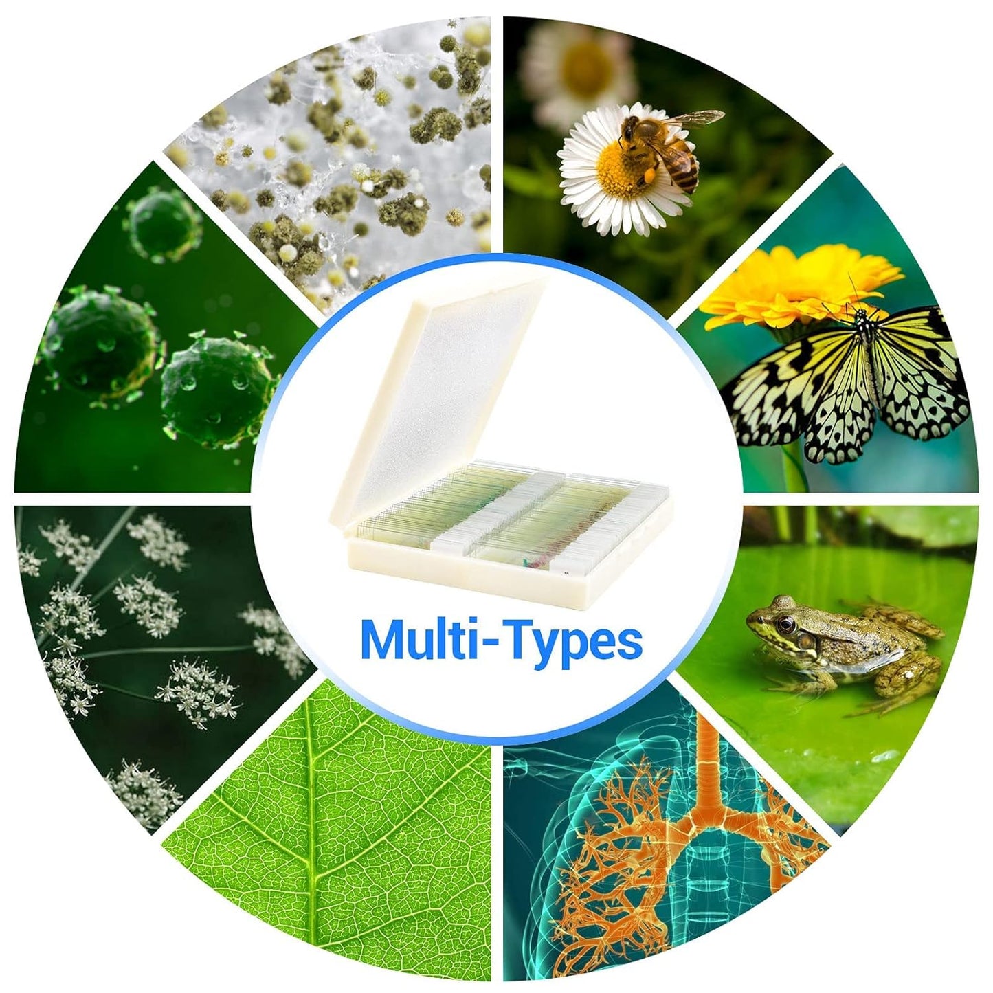 100 Prepared Microscope Slides with Specimens for Kids Adults - Bacterium, Fungus, Human Tissues, Mitosis, Plants, Insects, Animals Cells Samples for Biological Science Lab, School Students