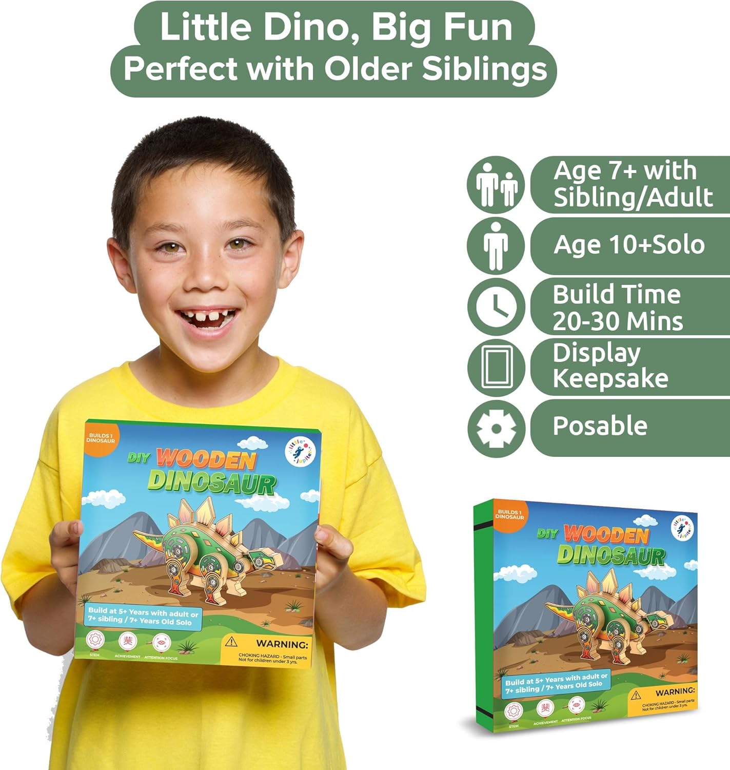 Little Jupiter DIY Wooden Kit with Stickers - Dinosaur Toys for Kids for 7-12 Yrs - Dinosaur Toy Woodworking Kits - Wood Crafts - Kids Building Kit - Wooden Crafts (Stegosaurus)