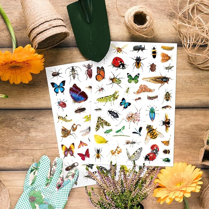 Insect Animals Stickers 840 Count Insect Bug Butterfly Animal Stickers Party Favors Gifts Sticky Decor for Scrapbook Calendar Planner Gift Wrap Decor