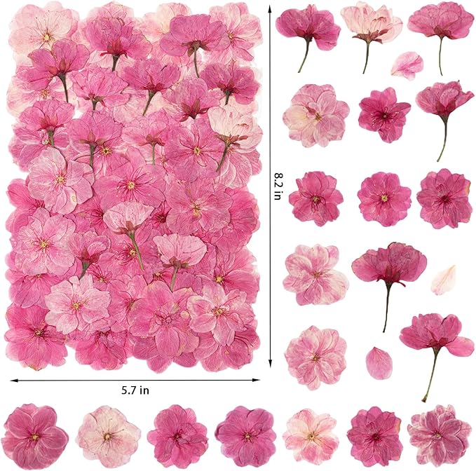 101 PCS Pressed Cherry Blossom for Crafts, Pink Dried Pressed Flowers for Resin DIY Jewelry Making Cake Card Scrapbook Decor, Dried Sakura Flowers for Soap Candle Making
