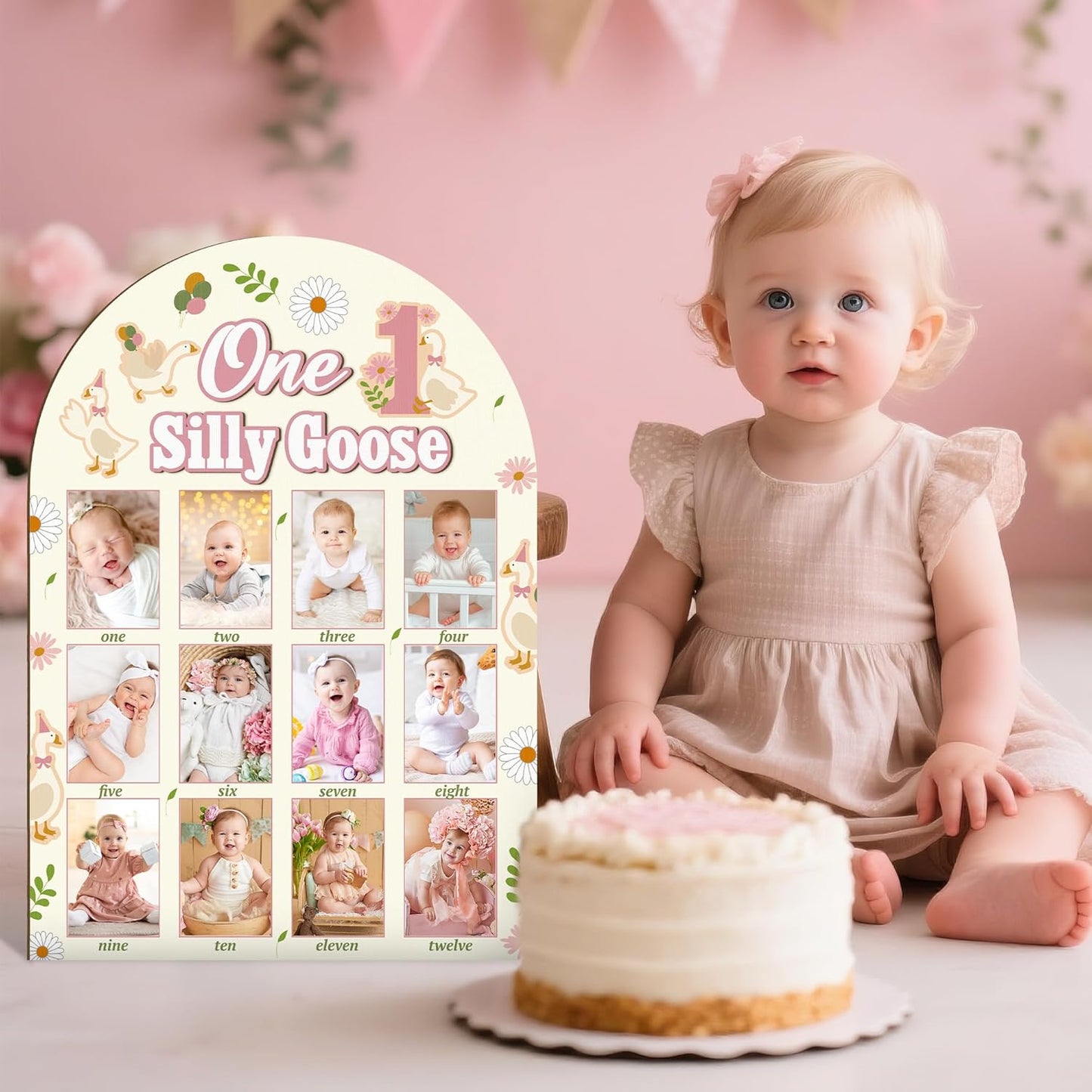 R HORSE My First Year Photo Frame Board, 3D One Silly Goose Birthday Decorations Display Wood Board, Baby First Year Picture Frame 12 Months Milestone 1st Birthday Nursery Decor Gift for Boy Girl