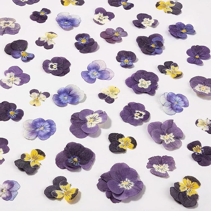 60Pcs Dried Pressed Pansies Flowers for Cake Decorating, Purple Real Dry Flower for Resin Art Crafts Jewelry Decorations