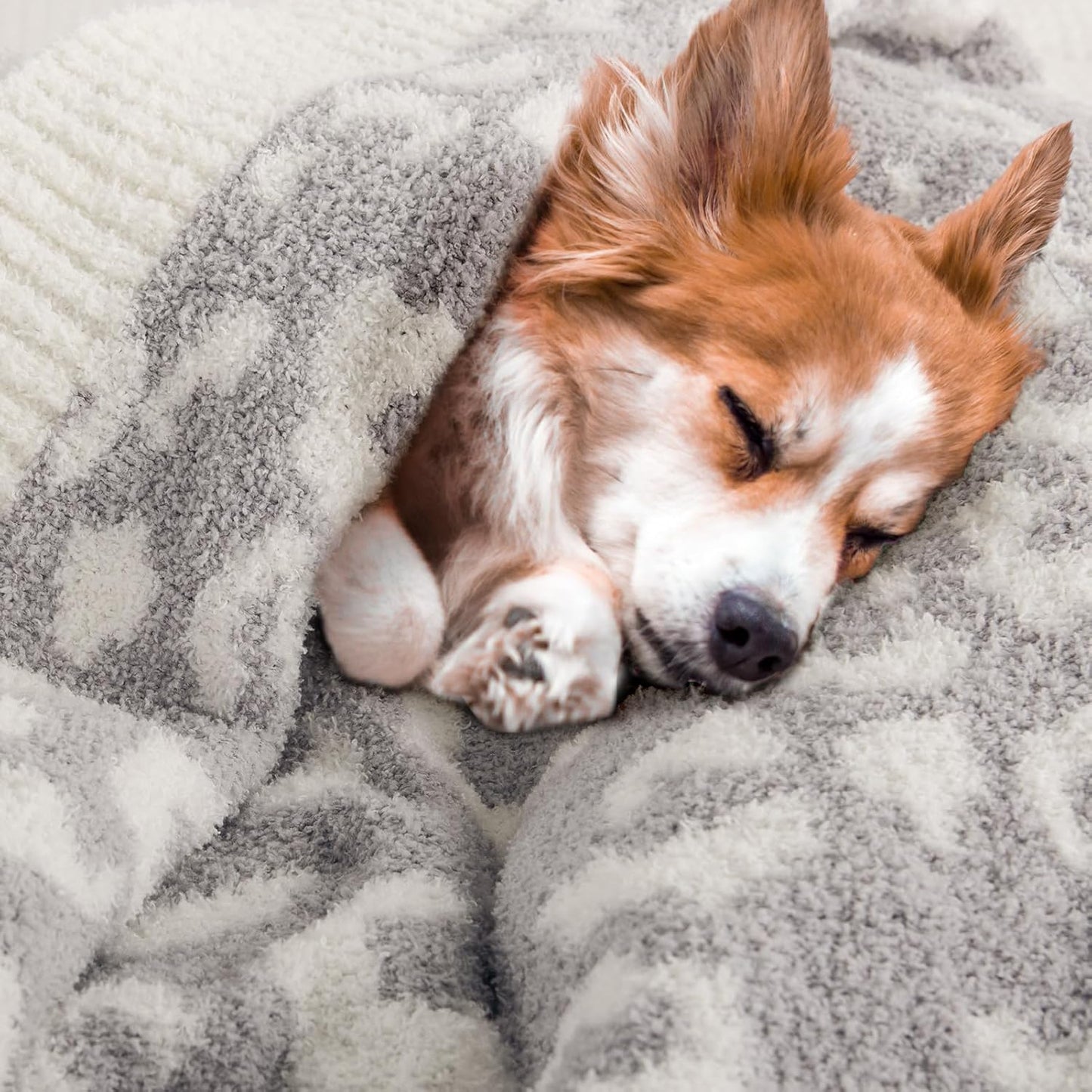 NEXHOME PRO Leopard Soft Blanket, Fuzzy Throw Blanket for Couch Bed Sofa Picnic, Knit Blankets for Women Gifts Grey 50 x 60 inches