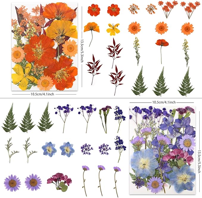 80 Pcs Dried Pressed Flowers for Crafts, Real Natural Dried Pressed Flowers in Vibrant Multicolor Tones for Resin, DIY Art, Jewelry, Candle & Soap Making – Tweezers Included