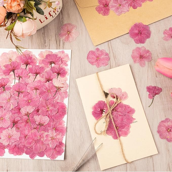 101 PCS Pressed Cherry Blossom for Crafts, Pink Dried Pressed Flowers for Resin DIY Jewelry Making Cake Card Scrapbook Decor, Dried Sakura Flowers for Soap Candle Making
