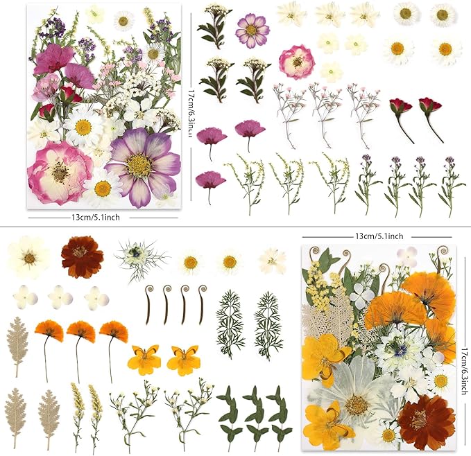 120P 4-Color Mixed Foliage Dried Flowers for Crafts, Real Natural Pressed Flowers for Resin Art, DIY Crafts, Jewelry & Candle Making – Tweezers Included