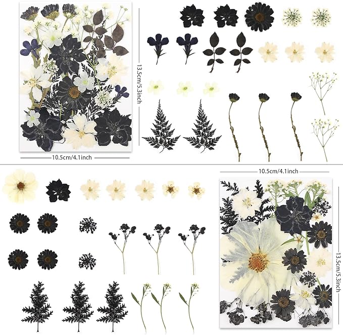 90P Black & White Dried Flowers for Crafts, Real Natural Pressed Flowers in Halloween-Style Tones for Resin Art, DIY Crafts, Jewelry & Candle Decor – Tweezers Included