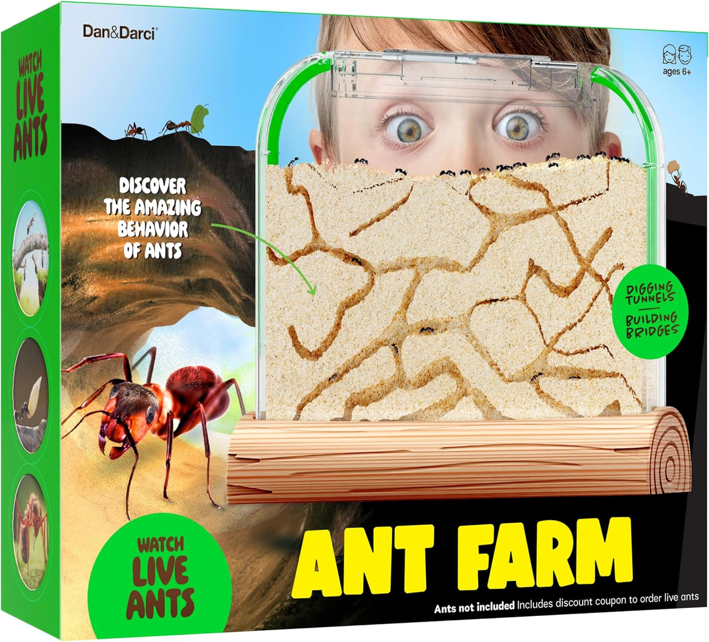 Dan&Darci Ant Farm Kit for Kids - Farms Colony - Includes Ants Voucher - Sand Habitat Kits - Bug Terrarium House - Educational Science Gifts for Kid - Nature Learning Toys for Boys, Girls & Adults