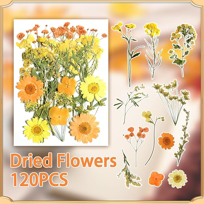 120Pcs Dried Pressed Flowers for Resin Mould Dry Flower Real Leaves Bulk with Tweezers Natural Herbs Kit for Scrapbooking DIY Art Crafts Candle Jewelry Making Nails Floral Decoration(Multicolor)
