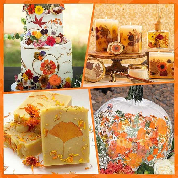 78 Pcs Fall Dried Pressed Flowers with Tweezer, Fall Themed Real Dried Flowers Leaves for DIY Crafts Resin Molds, Yellow Orange Dried Flowers for Autumn Halloween Thanksgiving Decorations