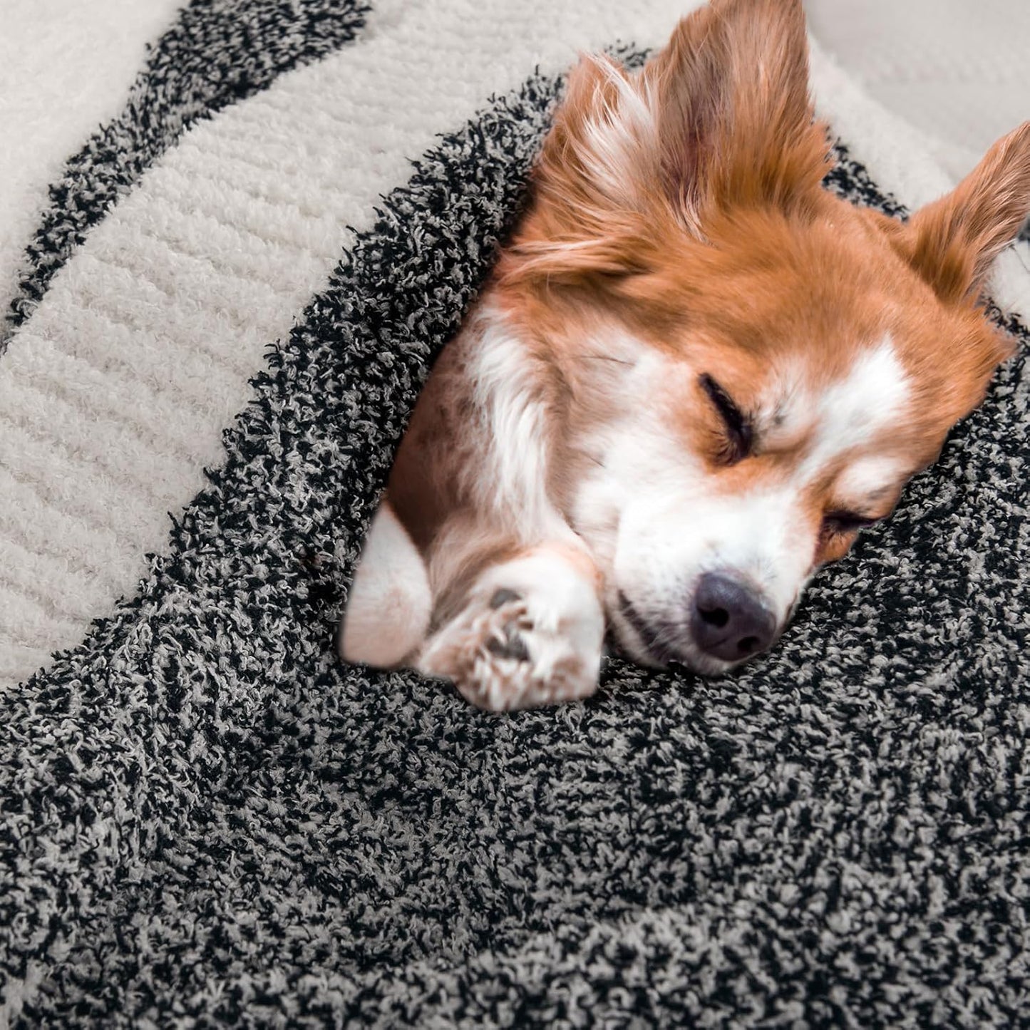 NEXHOME PRO Twin Size Soft Throw Blankets for Couch, Cozy Blankets Reversible Warm Knit Blanket for Women, Fuzzy Plush Lightweight Throws for Sofa, Bed, Picnic, Black 60 x 80 inches