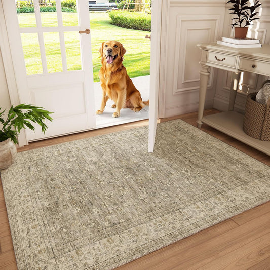 Washable Entryway Small Area Rugs: Door Mat Indoor Entrance 3x5 Boho Rug Stain Resistant Non-Slip Rubber Backing Soft Carpet for Kitchen Front Door Indoor Entrance Entry Bedroom Kids Room