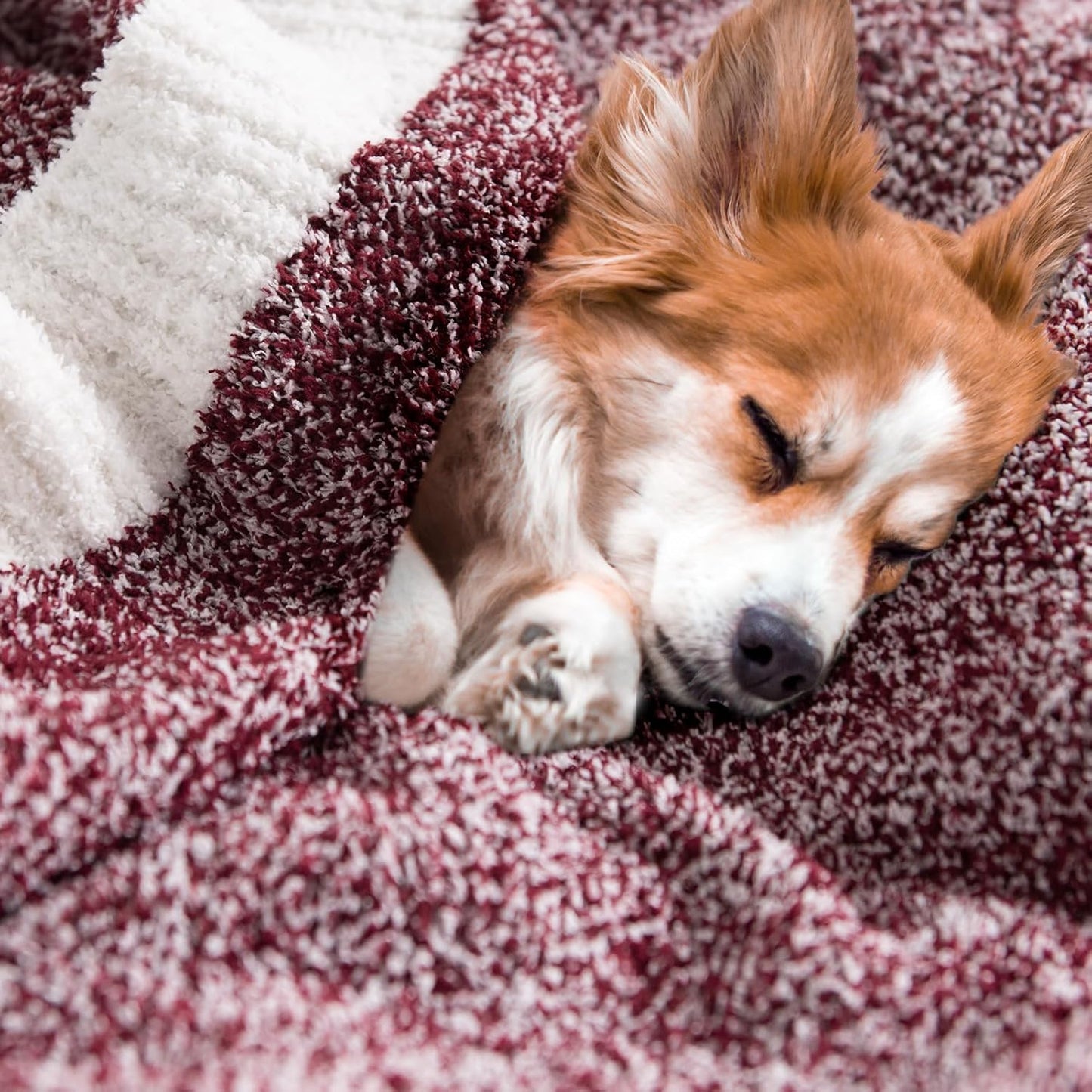 NEXHOME PRO Soft Twin Blankets for Couch, Reversible Warm Blankets Cozy Knit Blanket for Women, Fuzzy Plush Lightweight Throws for Sofa, Bed, Picnic, Wine 60 x 80 inches