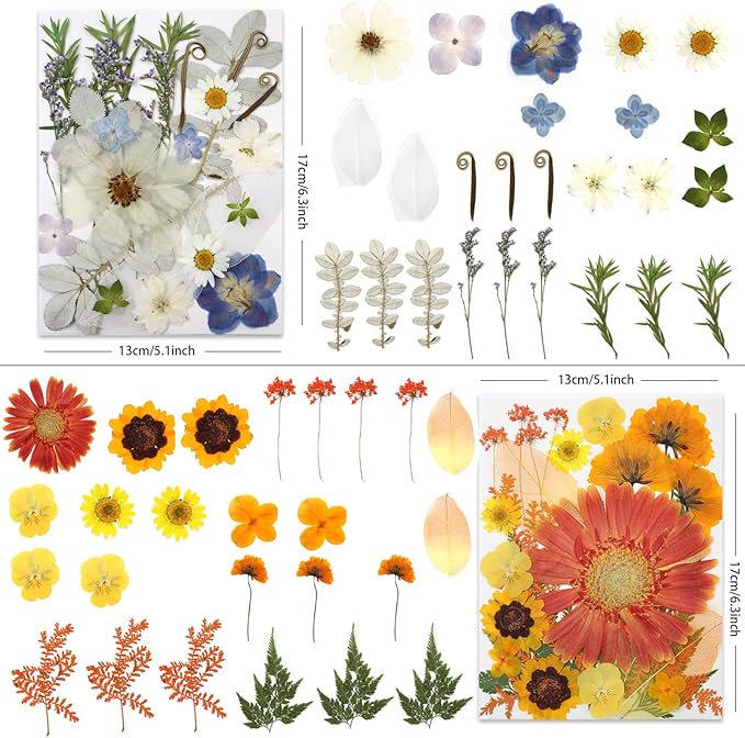 100 Pcs Large Dried Pressed Flowers for Crafts, Real Natural Flowers in Vibrant Colors for Resin, DIY Art, Jewelry & Soap Making – Tweezers Included