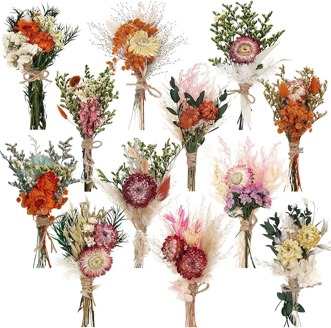Layhit 12 Pack Boho Dried Flower Bouquet Mini Wedding Handmade Dry Flowers Decor for Vase Crafts DIY Photo Boutonniere for Men Floral Plant for Bridesmaid Gift Birthday Decor (Gerbera Daisy)