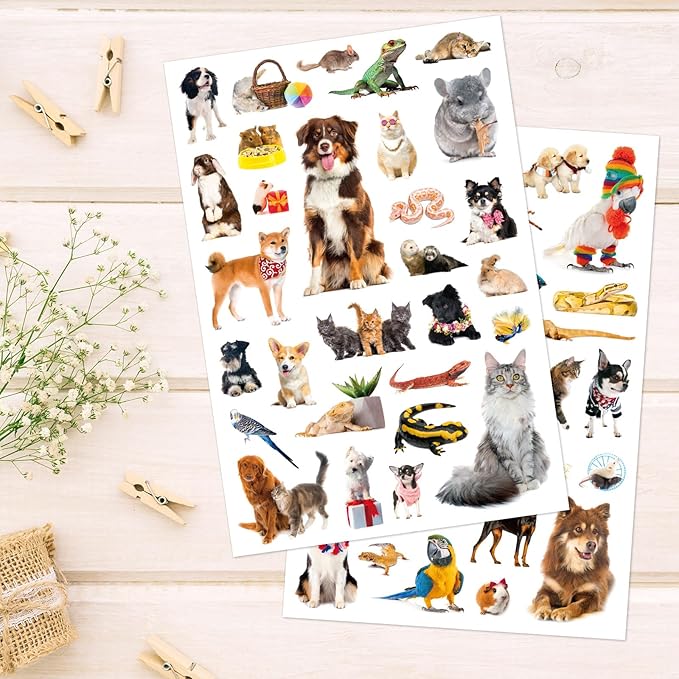 Pet Animals Stickers 660 Count Dog Cat Animal Pet Rabbit Parrot Fish Bird Reptiles Stickers Party Favors Gifts Sticky Decor for Scrapbook Calendar Planner Gift Wrap Decor