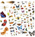 Insect Animals Stickers 840 Count Insect Bug Butterfly Animal Stickers Party Favors Gifts Sticky Decor for Scrapbook Calendar Planner Gift Wrap Decor