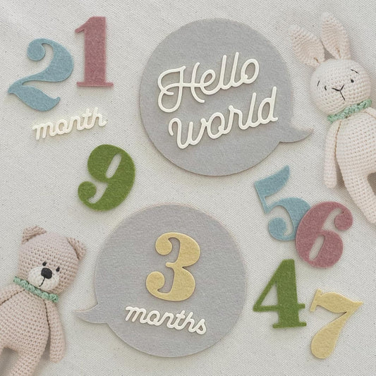 Felt Speech Bubble Baby Monthly Milestone Signs, First Year Baby Photo Prop | Birth Announcement, Growth Tracking, Gender Neutral Baby Shower Newborn Gift, Baby Keepsake (Pastel)