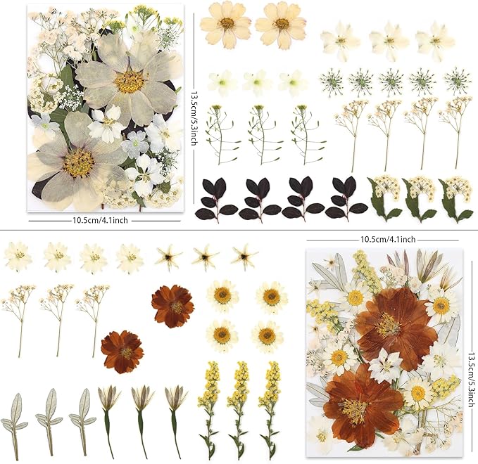 100P Vintage White Dried Flowers for Crafts, Real Natural Pressed Flowers in Retro White Tones for Resin Art, DIY Crafts, Jewelry & Candle Decor – Tweezers Included