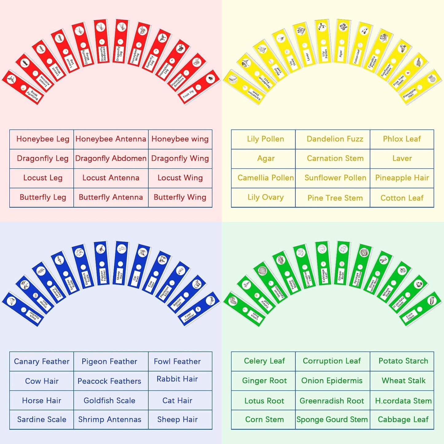 Yexiya 120 Pcs Kids Prepared Microscope Slides with Specimens Animals Insects Plants Flowers Specimens Microbiology Biological Sample for Student School Science Lab Supplies(48 Different Patterns)