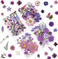 100P Purple Pressed Flowers – Real Dried Flowers for Crafts in Rich Violet Tones, Ideal for Resin Art, DIY Projects, Jewelry & Candle Making – Tweezers Included