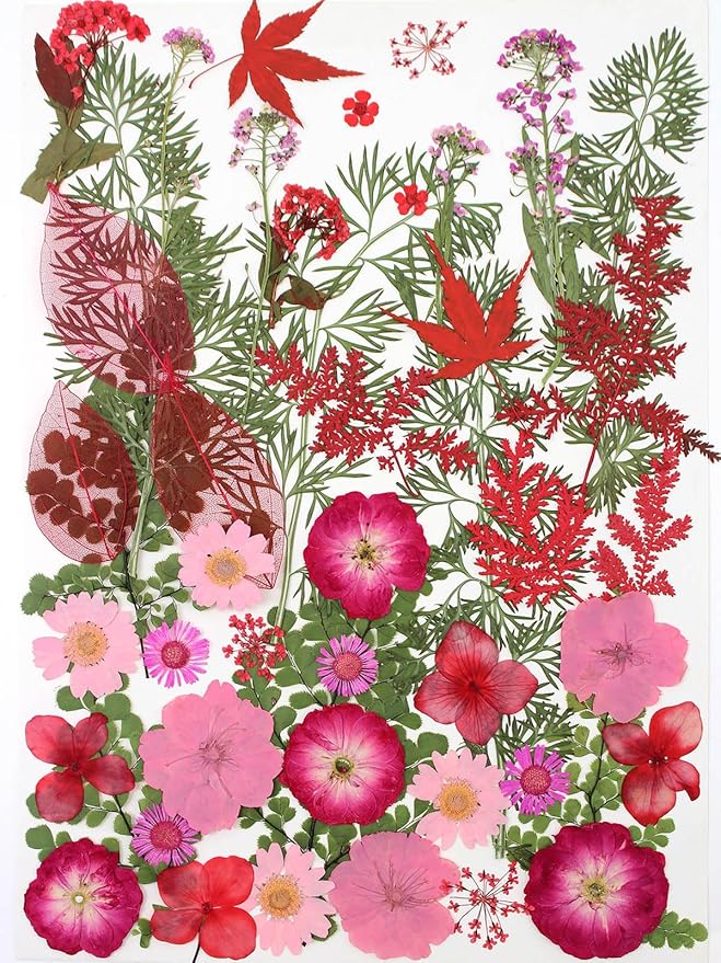 15 Types 48pcs Real Dried Pressed Flowers Leaf Plant Herbarium for DIY Resin Jewelry Making Floral Decors (Pink)