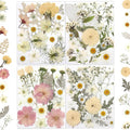 80 Pcs Dried Flowers for Crafts, Real Natural Dried Pressed Flowers in Soft Yellow, White & Pink Tones for Resin, DIY Art, Jewelry, Candle & Soap Making – Tweezers Included