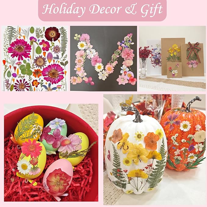 80 Pcs Dried Pressed Flowers for Crafts, Natural with Vibrant Colors & Various Shapes, Exquisite Arrangement for Resin, DIY, Jewelry, Candle & Soap Making – Tweezers Included