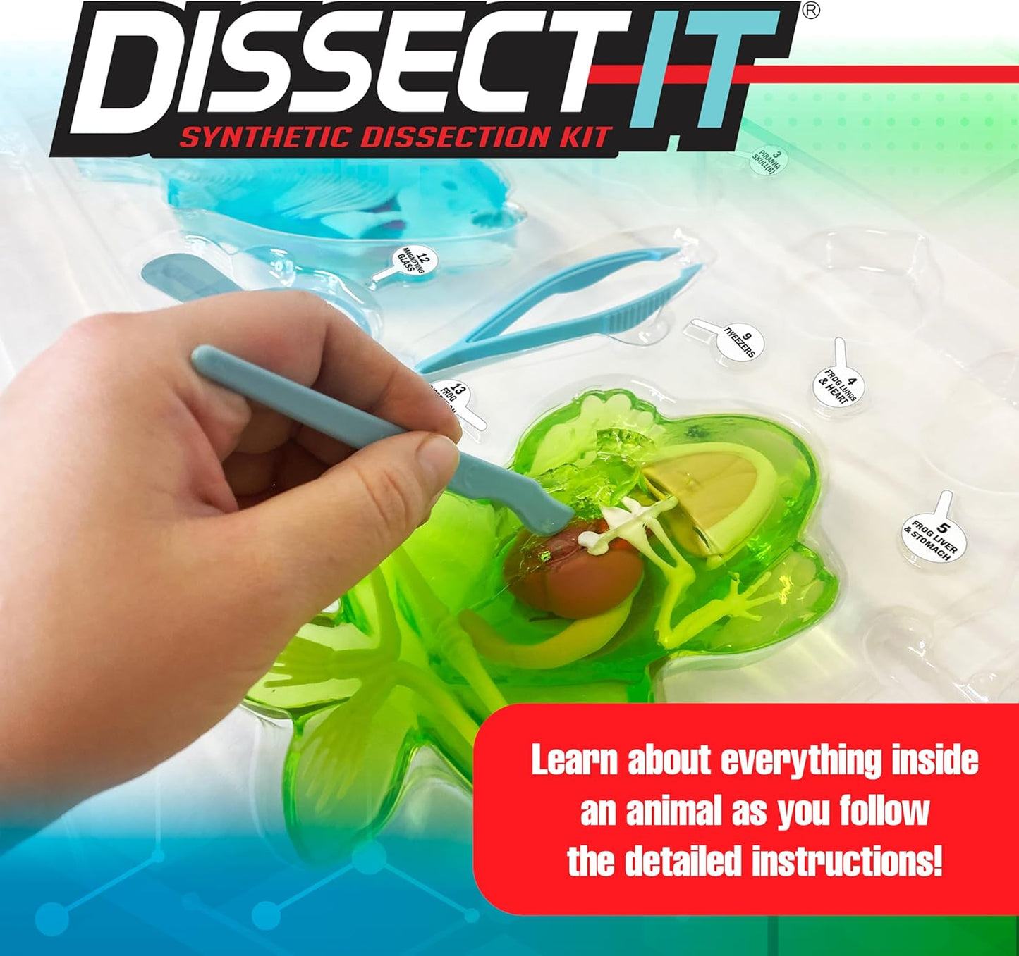 Top Secret Toys Mega Lab Dissect It Kit for Kids, Synthetic Frog and Piranha Dissection Kids Science Kit with Tools, STEM Biology Toys for Ages 6+