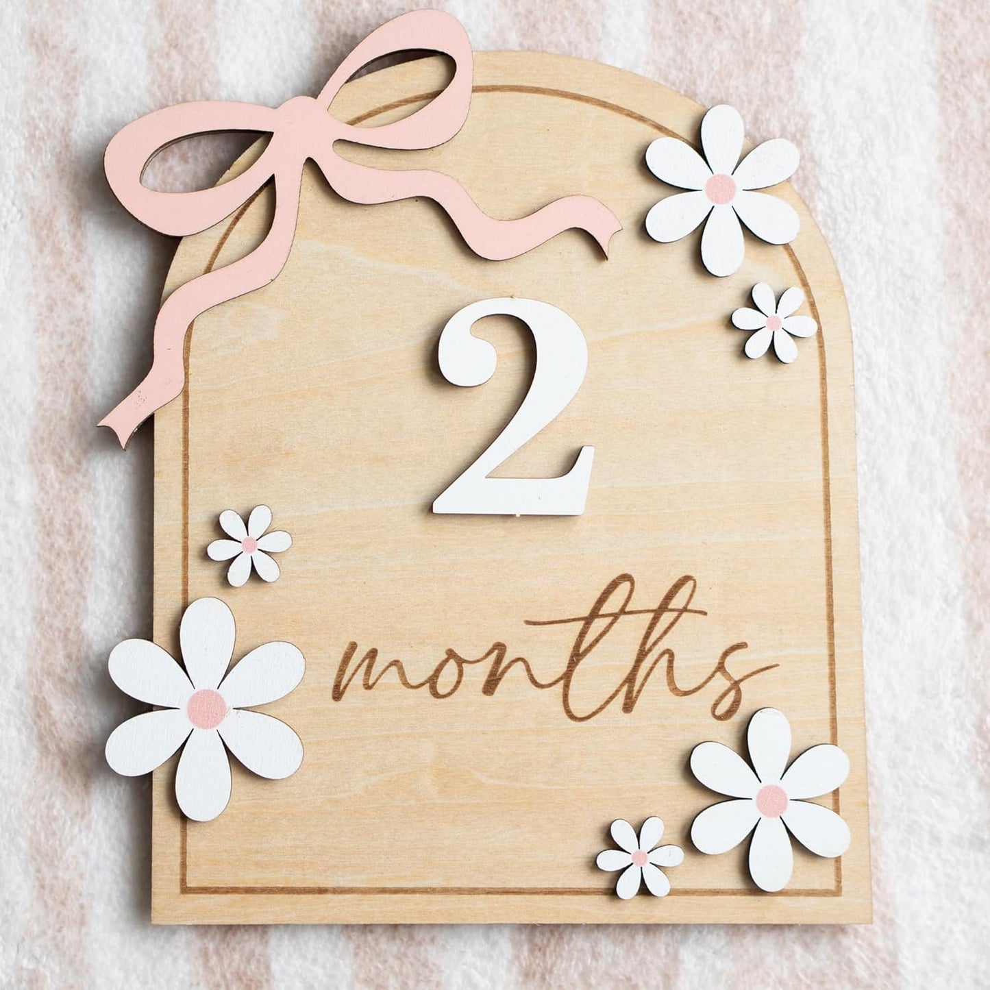 Baby Monthly Milestone Sign,1-12 Monthly Baby Milestone, Month Milestone Baby Girl, Baby Months Milestone, Newborn Photography Props Double-Sided (B14)
