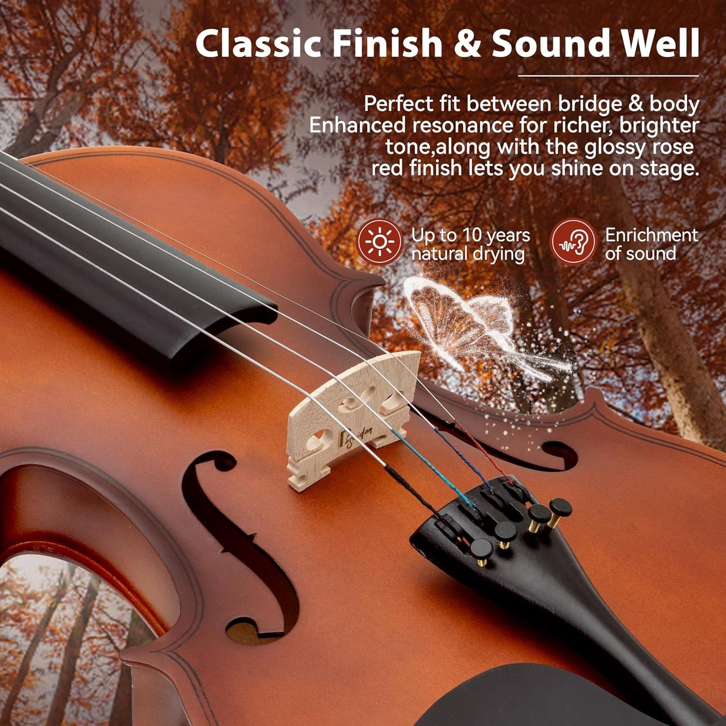 Poseidon 1/2 Violin Set Half Size Fiddle for Beginners with Hard Case, Bow, Rosin, Extra Violin Strings 1/2 Full Set, Digital Tuner, Shoulder Rest & Cleaning Cloth for Students, Children