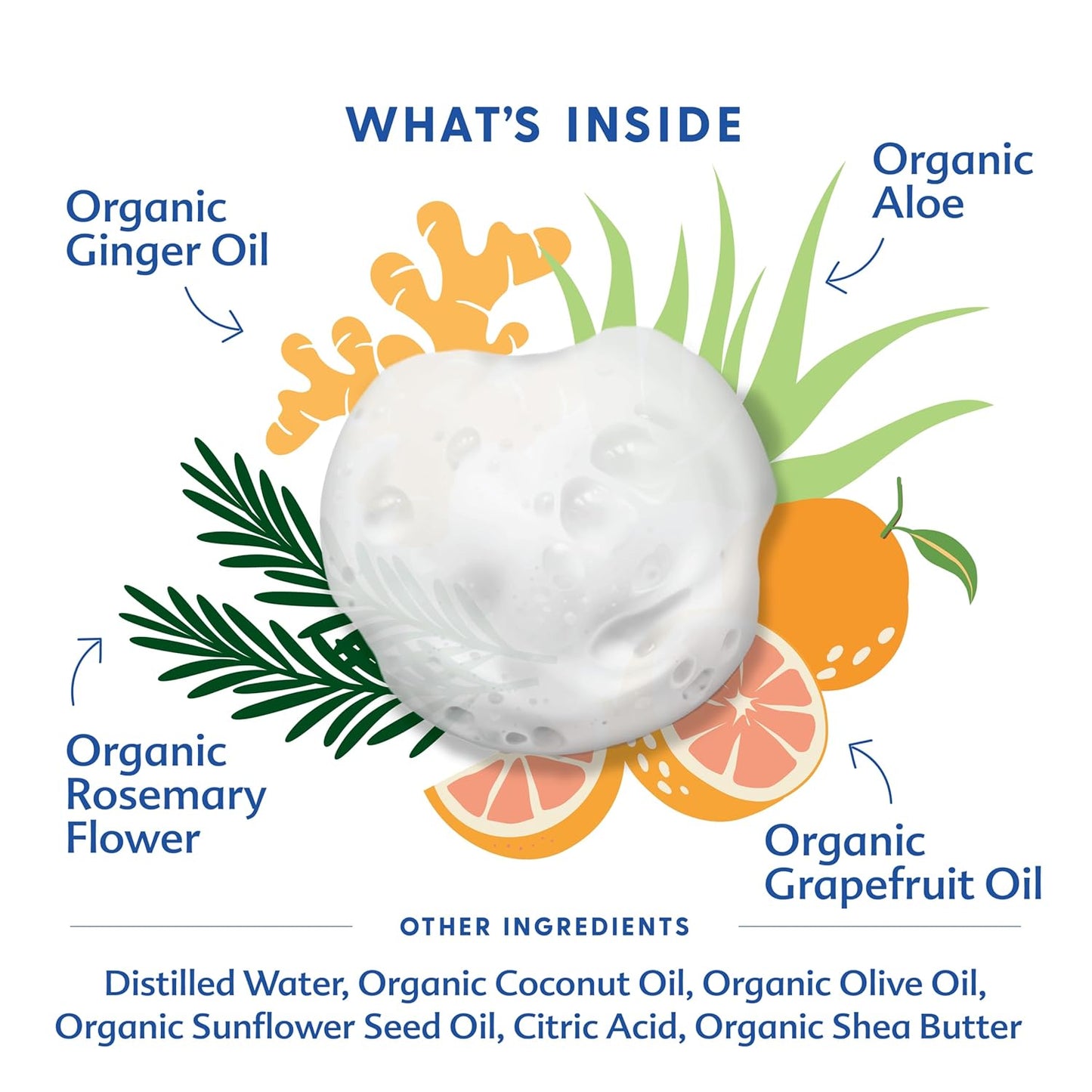 Motherlove Baby & All Soap (7.1 oz) Gentle Foaming All-Purpose Castile Soap Made with Organic Ingredients – Refreshing Ginger Grapefruit