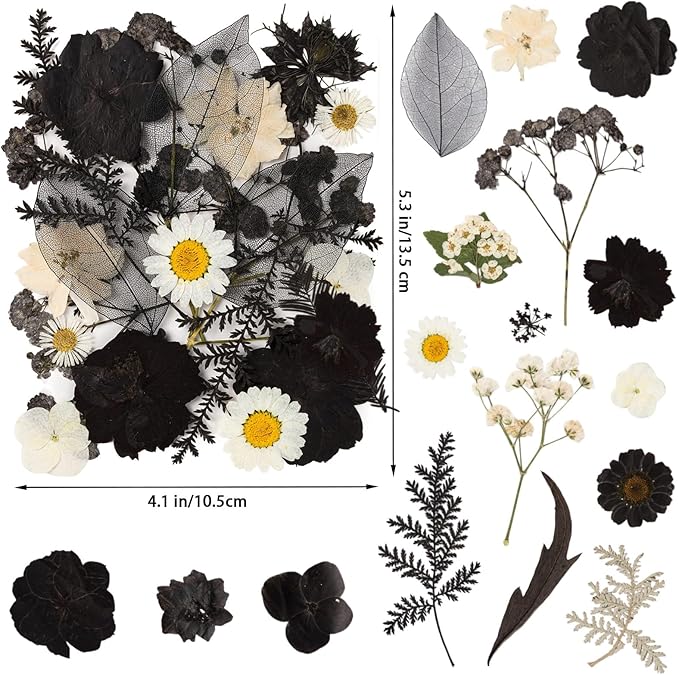 78 Pcs Black and White Dried Pressed Flowers with Tweezer, Halloween Themed Real Dried Flowers Leaves for DIY Crafts Resin Molds, Dried Flowers for Autumn Halloween Decorations