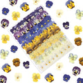 64 Pcs Dried Pressed Viola Flowers, 8 Color Gradient Purple Blue Yellow White, for Resin DIY Art Jewelry Candle & Soap Making with Tweezers Included