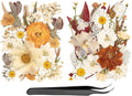 50pcs Boho Pressed Flowers Bulk, Vintage Dried Flower Leaves, Natural Fall Pressed Dried Flowers with Tweezer for DIY Crafts Resin Mold Candles Cake Bridal Scrapbooking Supplies