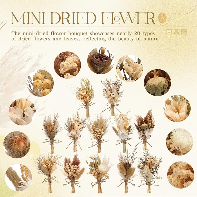 Layhit 12 Pack Boho Dried Flower Bouquet Mini Wedding Handmade Dry Flowers Decor for Vase Crafts DIY Photo Boutonniere for Men Floral Plant for Bridesmaid Gift Birthday Decor