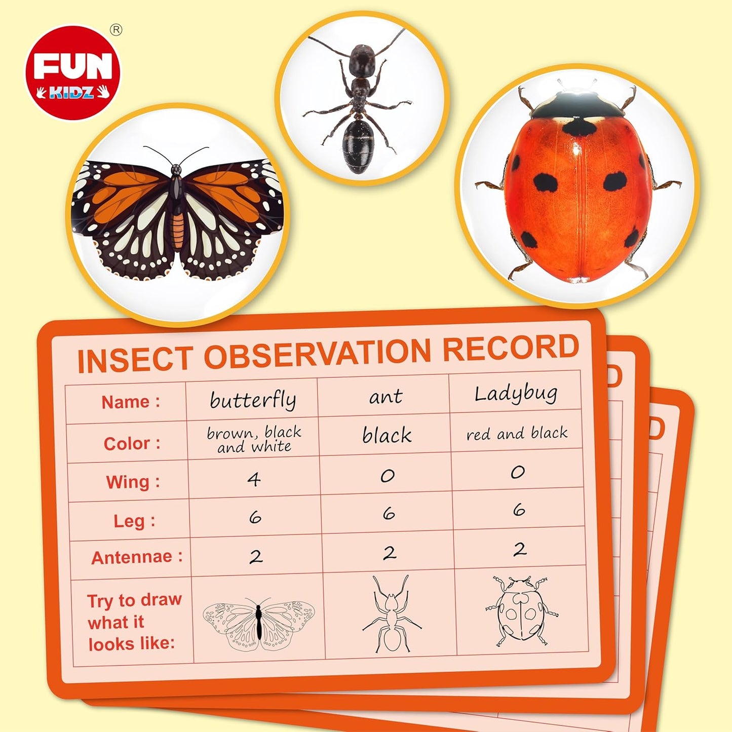 Science Kid Bug Catcher Kit, FunKidz Outdoor Activities Gift Butterfly Bug Habitat with Magnified Viewer Bug Catching Kit for Boys 3-12 Includes Net Catcher, Tweezers, Record Lists