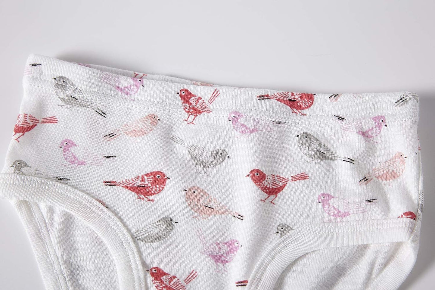 Cadidi Dinos Little Girls' Soft Cotton Underwear Kids Cool Breathable Comfort Panty Briefs Toddler Undies(Pack of 6)