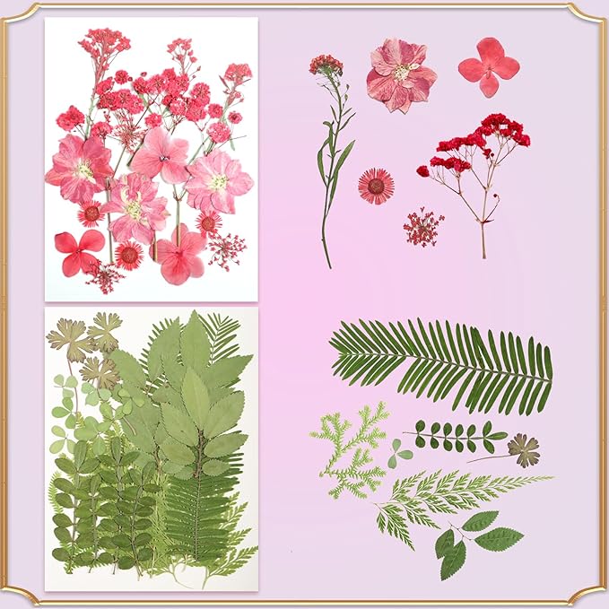 120Pcs Dried Pressed Flowers for Resin Mould Dry Flower Real Leaves Bulk with Tweezers Natural Herbs Kit for Scrapbooking DIY Art Crafts Candle Jewelry Making Nails Floral Decoration(Multicolor)