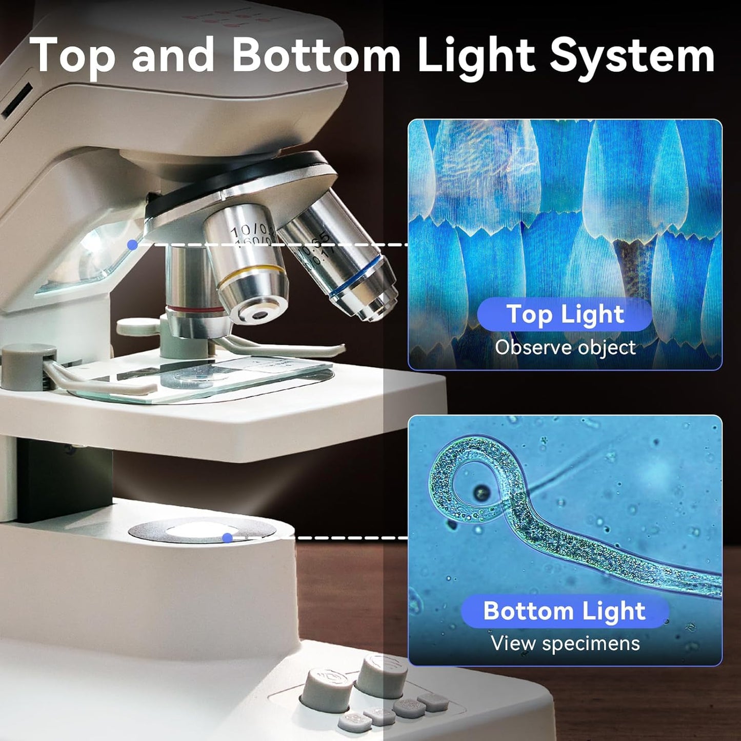 TOMLOV DM301 Pro Microscope for Kids Adults Students, Digital Microscope with 7" Screen, USB & HDMI Output, Wireless Biological Educational Science Scope Camera with Slides Kits for Classroom Home Lab