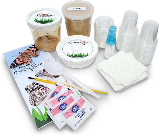 32 Live Caterpillars Shipped Now: Butterfly Kit Refill for School Sized Kit with Extra Larva Rearing Supplies and 32 Little Cups by Nature Gift Store