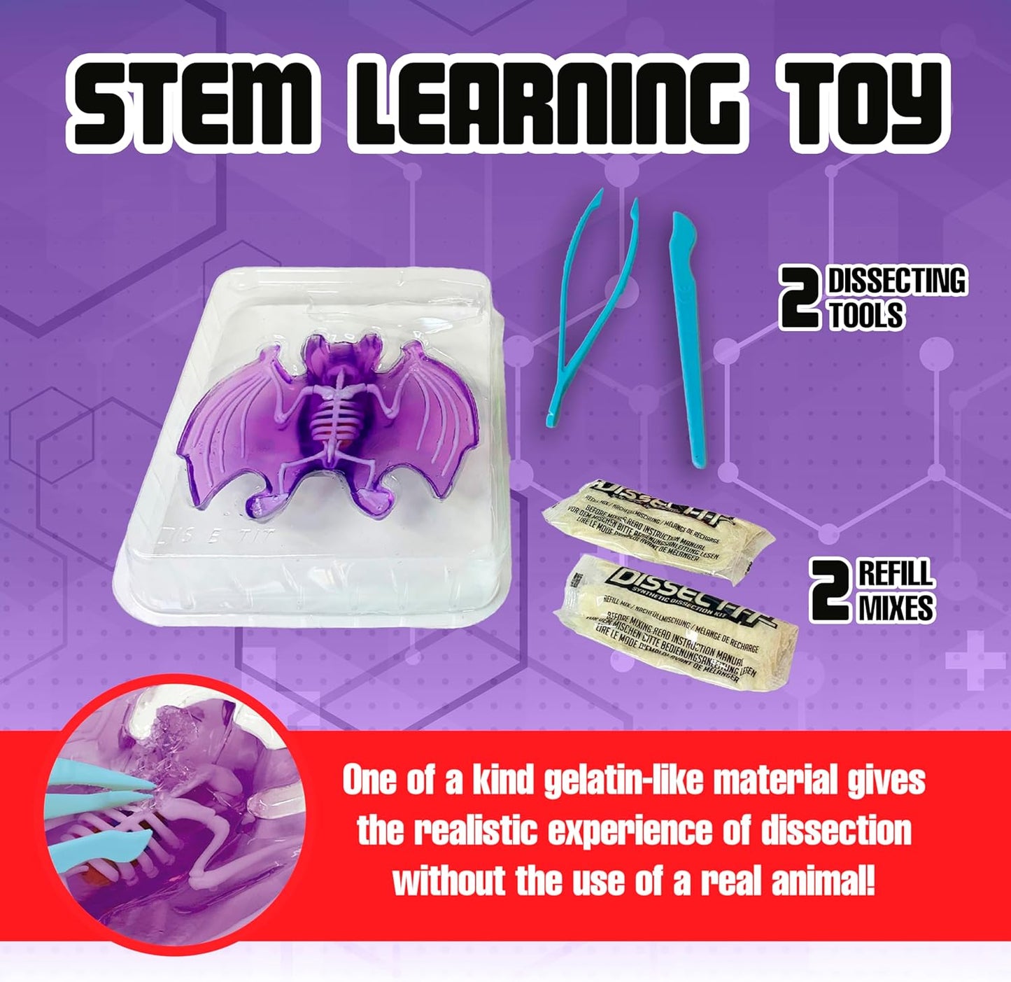 Dissect-It Simulated Synthetic Lab Dissection Toy, STEM Projects for Kids, Animal Science, Biology, and Anatomy Home Learning Kit, Bat
